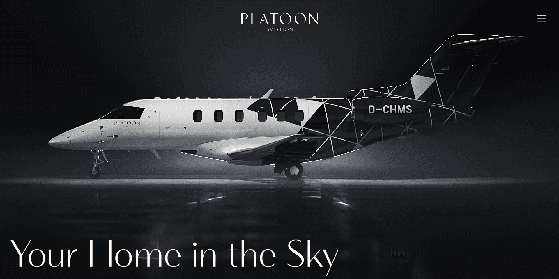 PLATOON AVIATION project screenshot