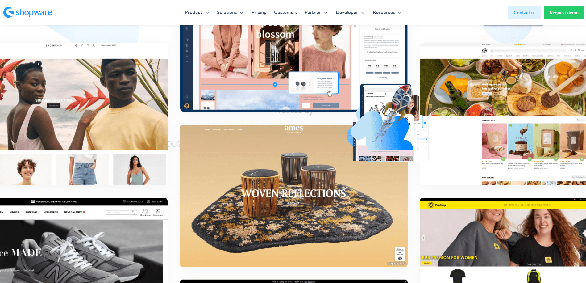 Shopware project screenshot